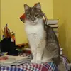 Отзыв от Наталия Полякова